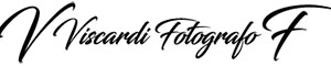 Fabrizio Viscardi Logo